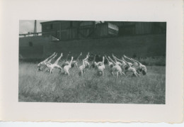 Photo Spectacle à Tours En 1943 Au Stade Timbror (USSS) - Personnes Anonymes