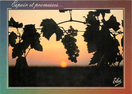 Vignes - La Vigne Au Soleil Couchant - CPM - Carte Neuve - Voir Scans Recto-Verso - Vignes