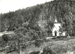 42 - Noiretable - Notre Dame De L'Hermitage - La Chapelle Miraculeuse Et Les Prairies - Mention Photographie Véritable - - Noiretable