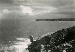 29 - Pointe Du Raz - Vue Sur La Pointe Du Van - Mention Photographie Véritable - CPSM Grand Format - Voir Scans Recto-Ve - La Pointe Du Raz