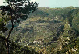 48 - Les Vignes - Les Lacets Sur La Route Du Point Sublime - CPM - Voir Scans Recto-Verso - Autres & Non Classés