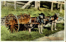 ANIMAUX -  Carte Postale Du Canda - Un Attelage De Chiens - L 152109 - Perros