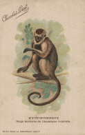 SINGE PUBLICITE CHOCOLAT LOUIT NYCTIPITHEQUE SINGE NOCTURNE DE L AMERIQUE TROPICALE CPA BON ETAT - Monkeys