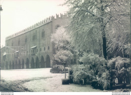 P61 Bozza Fotografica Mantova Citta'  Palazzo Ducale - Mantova