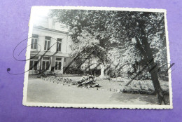 Antwerpen Marie-José Pieter Van Hobokenstraat Hof Tuin Jardin Healt - Antwerpen