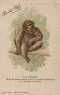 SINGE PUBLICITE CHOCOLAT LOUIT CHIMPANZE SINGE DE GRANDE TAILLE HABITE LE VERSANT ATLANTIQUE DE L AFRIQUE  CPA BON ETAT - Monkeys