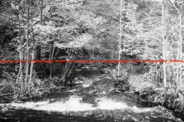 Q002854 Cunsey Beck. Cumbria. 1964 - REPRODUCTION - Andere & Zonder Classificatie