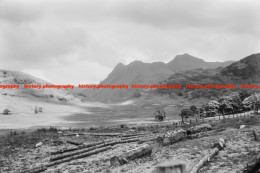 Q002817 Clear Felling Near Blea Tarn. Cumbria. 1973 - REPRODUCTION - Andere & Zonder Classificatie