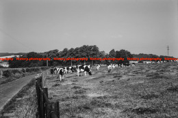 Q002779 Farm. Barton. Penrith. Cumbria. 1968 - REPRODUCTION - Sonstige & Ohne Zuordnung