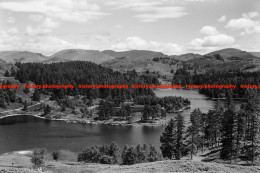 Q002753 Tarn Hows. Lake District. Cumbria. 1970s - REPRODUCTION - Sonstige & Ohne Zuordnung