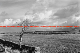 Q003531 Whitehaven. View From Marchon. Cumbria. 1967 - REPRODUCTION - Altri & Non Classificati