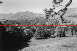 Q003483 Vale Of Rydal. Cumbria. 1974 - REPRODUCTION - Altri & Non Classificati