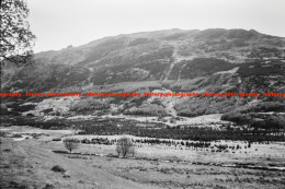 Q003484 Westward. Duddon Valley. Cumbria. 1964 - REPRODUCTION - Altri & Non Classificati