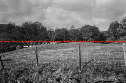 Q003487 Farm. Cumbria. 1977 - REPRODUCTION - Altri & Non Classificati
