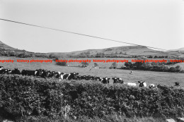 Q003347 Beckside Farm. Whicham. Cumbria. 1971 - REPRODUCTION - Altri & Non Classificati