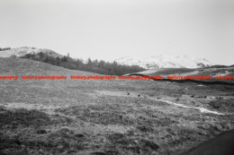 Q003247 Elterwater Common. Cumbria. 1963 - REPRODUCTION - Other & Unclassified