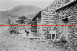 Q003233 Seathwaite Farm. Keswick. Cumbria. 1977 - REPRODUCTION - Altri & Non Classificati