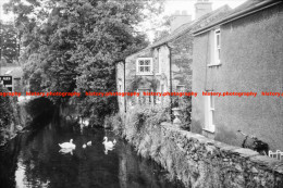 Q003122 Cartmel. Swans. Cumbria. 1964 - REPRODUCTION - Andere & Zonder Classificatie