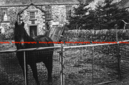 Q003696 Millom. The Green. Farmhouse. Cumbria. 1969 - REPRODUCTION - Sonstige & Ohne Zuordnung