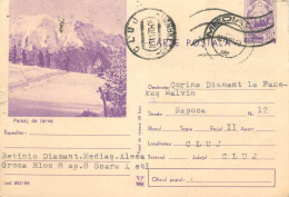 Postal Stationery Postcard Romania Winter Landscape - Rumänien