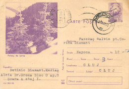 Postal Stationery Postcard Romania Winter Landscape - Rumänien