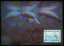 Mk Togo Maximum Card 1984 MiNr 1765 | Endangered Wildlife. WWF. West African Manatees #max-0043 - Togo (1960-...)