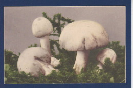 CPA 1 Euro Champignon Mushroom Prix De Départ 1 Euro écrite - Pilze