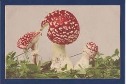 CPA 1 Euro Champignon Mushroom Prix De Départ 1 Euro écrite - Paddestoelen