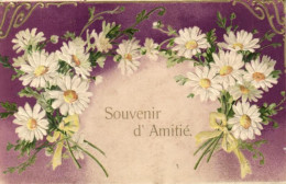 Thème - Fantaisie - Souvenir D'Amitié - Cordon De Marguerites - 6801 - Other & Unclassified