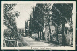 Imperia San Lorenzo Al Mare Strada Provinciale Cartolina RT2991 - Imperia
