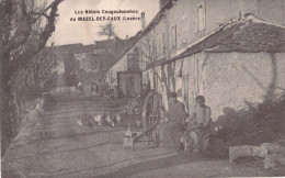 *48* - Lozère - Le Mazel Des Eaux - Les Hôtels Cougouluenhes - Autres & Non Classés