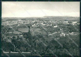 Sassari Olbia Tempio Pausania Foto FG Cartolina ZKM7976 - Sassari