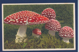 CPA 1 Euro Champignon Mushroom Prix De Départ 1 Euro Non Circulée - Funghi