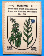 Oost Vlaanderen N055 Hamme Timbre Vignette 1930 Café Hag Armoiries Blason écu TBE - Té & Café