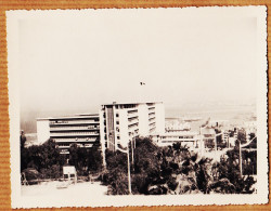 26432 / ⭐ ALGER 13 Juin 1959 Gouvernement Général Terrain Basket Vue Du Boulevard Gl DELATTRE Photo 127x103mm - Algiers