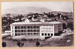 26492 / ⭐ SOUK AHRAS Algérie Ecole Garçons Dite De CONSTANVILLE 1950s à Vincent PAPALIA Milia Constantine / Bromure CAP  - Souk Ahras