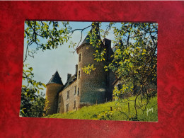 Carte LE CHATEAU DE MONTAL - Other & Unclassified