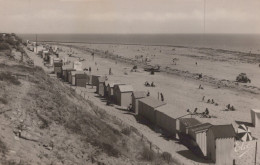 ILE DE RE LA MAGNIFIQUE PLAGE VERS LE BOIS - Ile De Ré