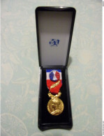 Médaille Du Travail Or 2001 - Firma's