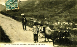 3496 -  Isére -  ALLEVARD  :  ATTELAGE  Du  PAYS  , Beau Plan    -  - Circulée En 1905 - Allevard