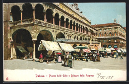 Cartolina Padova, Piazza Delle Erbe E Palazzo Della Ragione  - Padova (Padua)