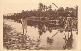 Algeria People At The River In The Desert Ethnic Types And Scenes - Escenas & Tipos