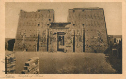 Egypt Edfu Temple Of Horus - Edfu