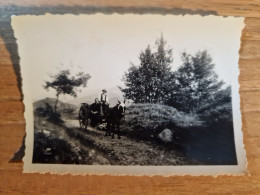 19232.  Fotografia Vintage Uomo Donna Cavallo Calesse Aa '20 Italia - 8,5x6 - Personnes Anonymes