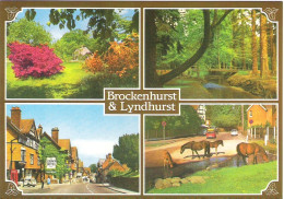 SCENES FROM BROCKENHURST AND LYNDHURST, HAMPSHIRE, ENGLAND. UNUSED POSTCARD Mm3 - Otros & Sin Clasificación