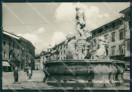 Gorizia Città Foto FG Cartolina ZK1596 - Gorizia