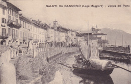 Saluti Da Cannobio ( Lago Maggiore ) Veduta Del Porto 1911 - Other & Unclassified