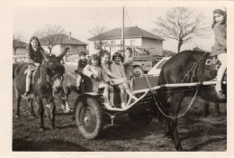 Grande Photo De Petite Fille élégante Assise Dans Une Carriole Et Sur Un Ane Et Un Cheval Dans Un Village - Personnes Anonymes