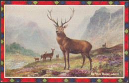 Scottish Studies - In The Highlands, C.1940s - Valentine's Postcard - Autres & Non Classés