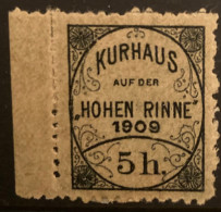 Hotelpost-Marke Kurhaus Auf Der Hohen Rinne 1909 - 5 H. Rumänien / Revenue Romania - Fiscaux